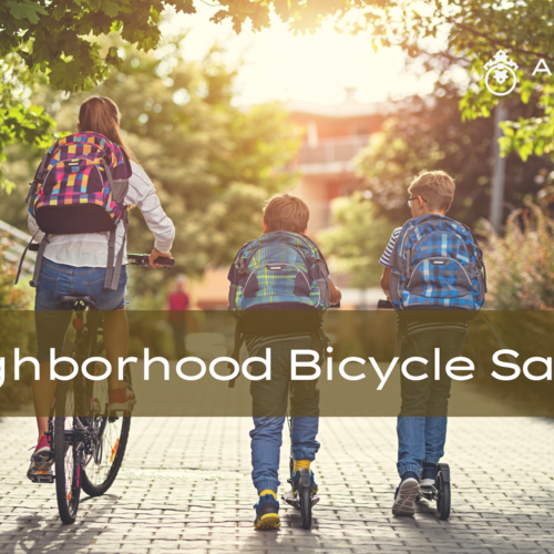 Best Neighborhood In St Petersburg Florida Bicycle Safety