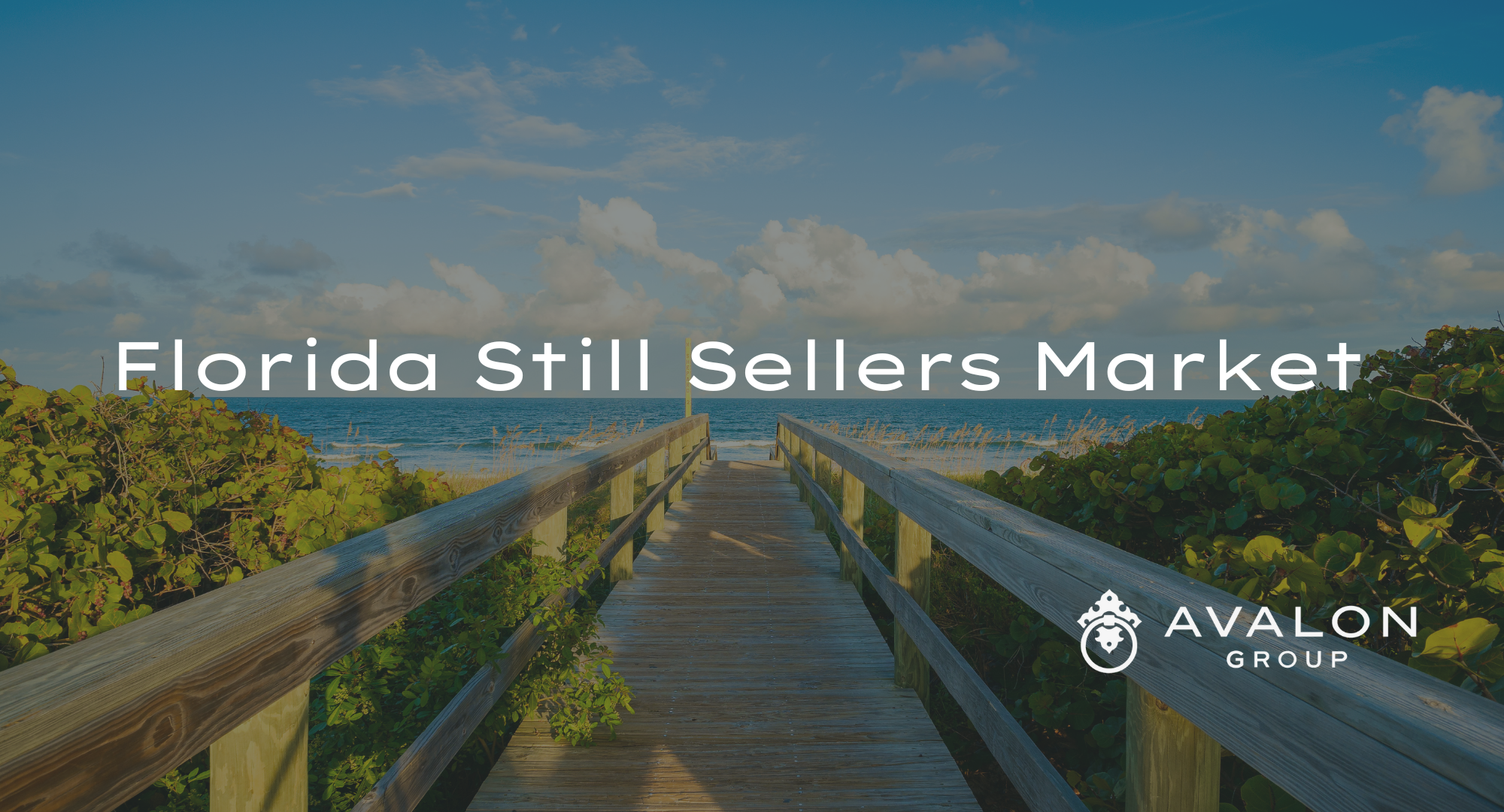 Florida Still Sellers Market is the title on this picture and the background is a beach picture.