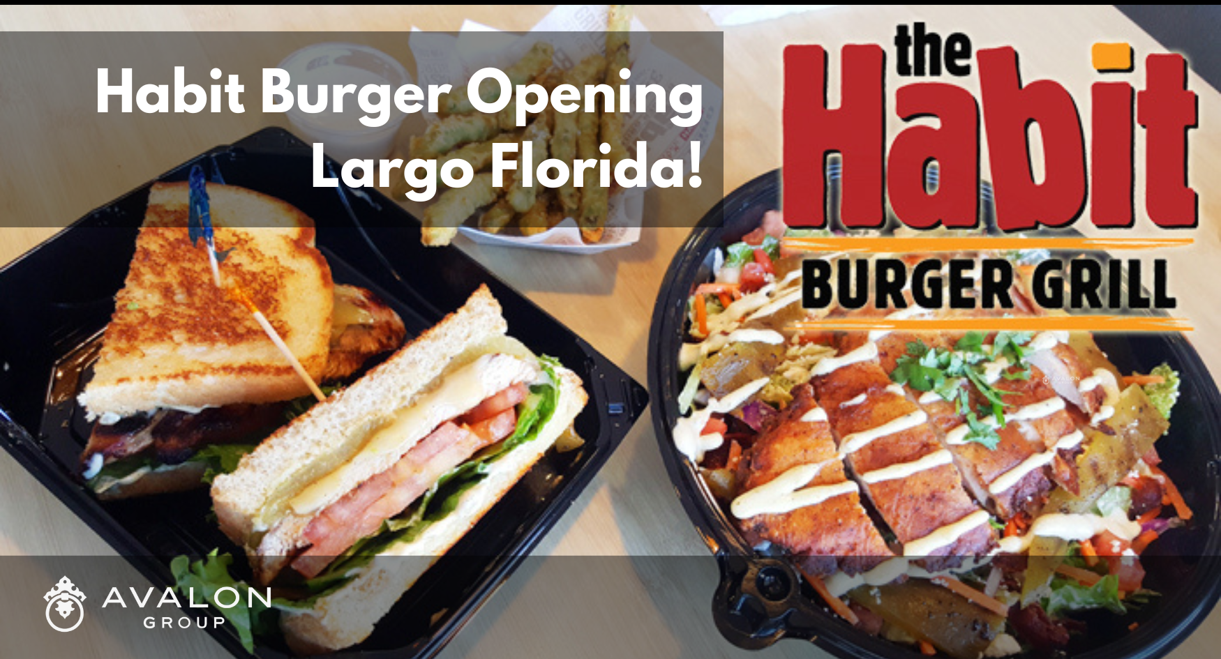 Picture shows a club sandwich and a Chrburger from the Habit Burger of Santa Barbara California.