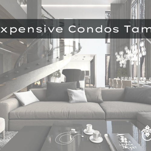 Most Expensive Condos Tampa Bay FL