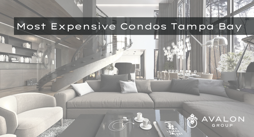 Most Expensive Condos Tampa Bay FL