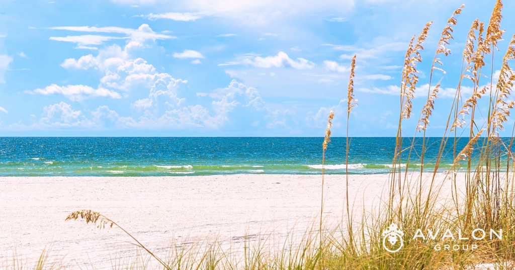 St Petersburg Top Florida City For Work-Life picture shows sea grass next to the beach.