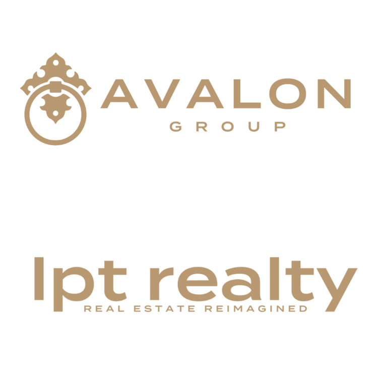 Top Realtor St Petersburg AVALON Group Real Estate Agents