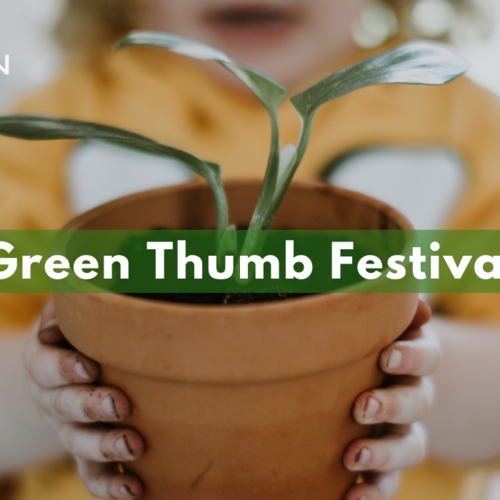 Green Thumb Festival St Petersburg