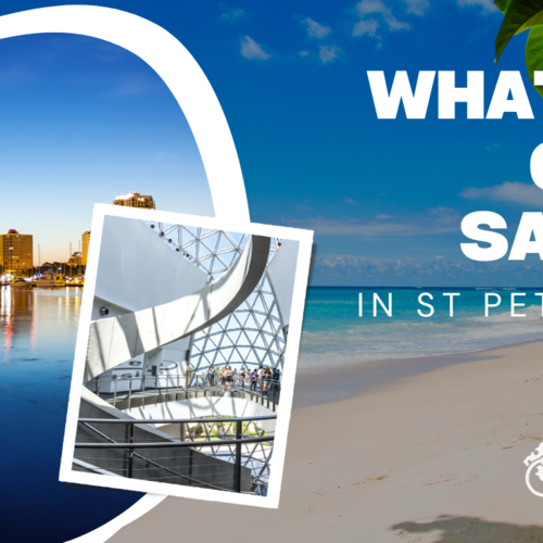 What is a Good Salary in St Petersburg Florida?