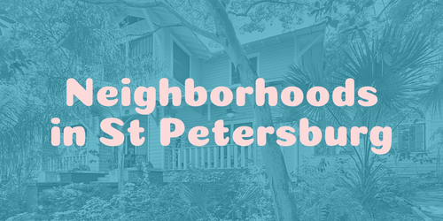 Neighborhoods in St Petersburg
