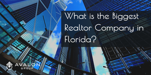 What is the Biggest Realtor Company in &hellip;