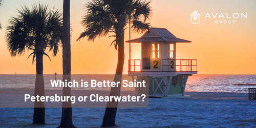 Which is Better Saint Petersburg or Clearwater?