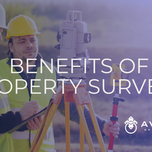 Benefits of Property Surveys