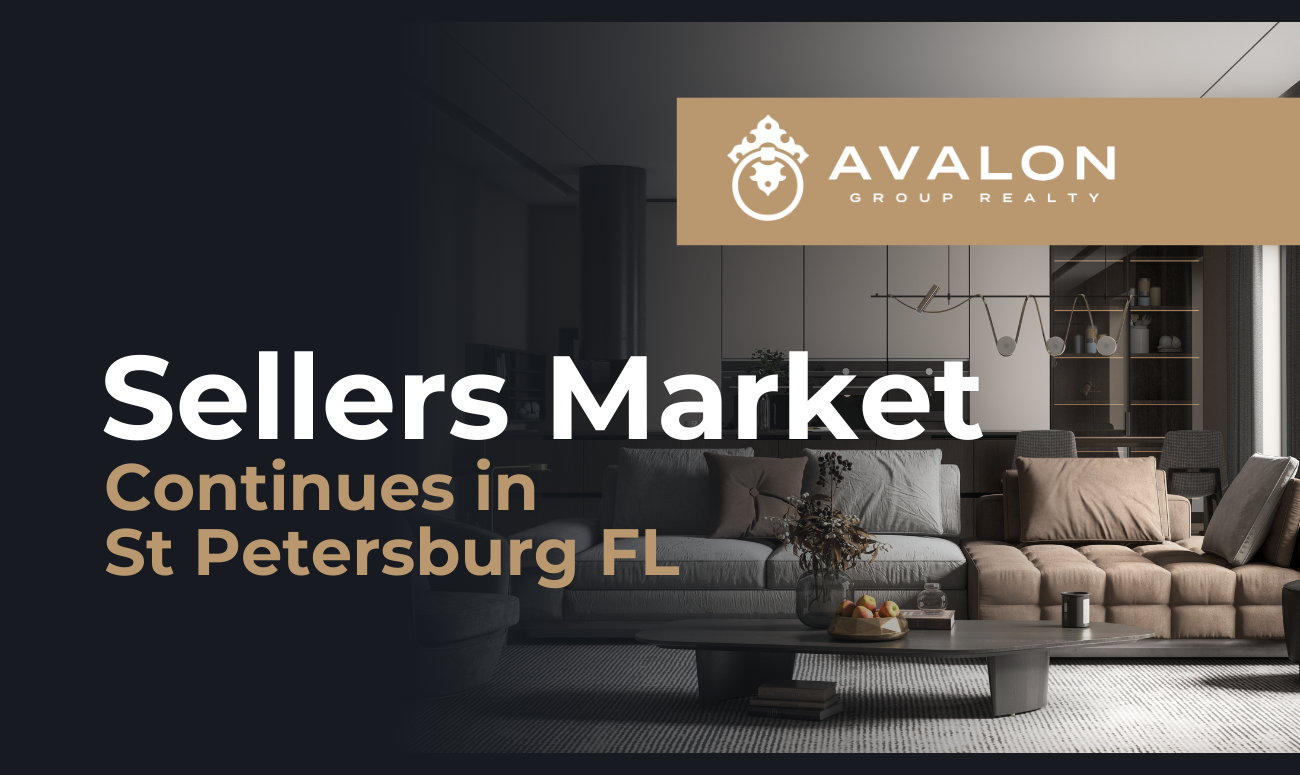 Sellers Market Continues in St Petersburg FL cover picture shows a living room with gray and tan colored furniture. The Title letters appear in white and tan letters,