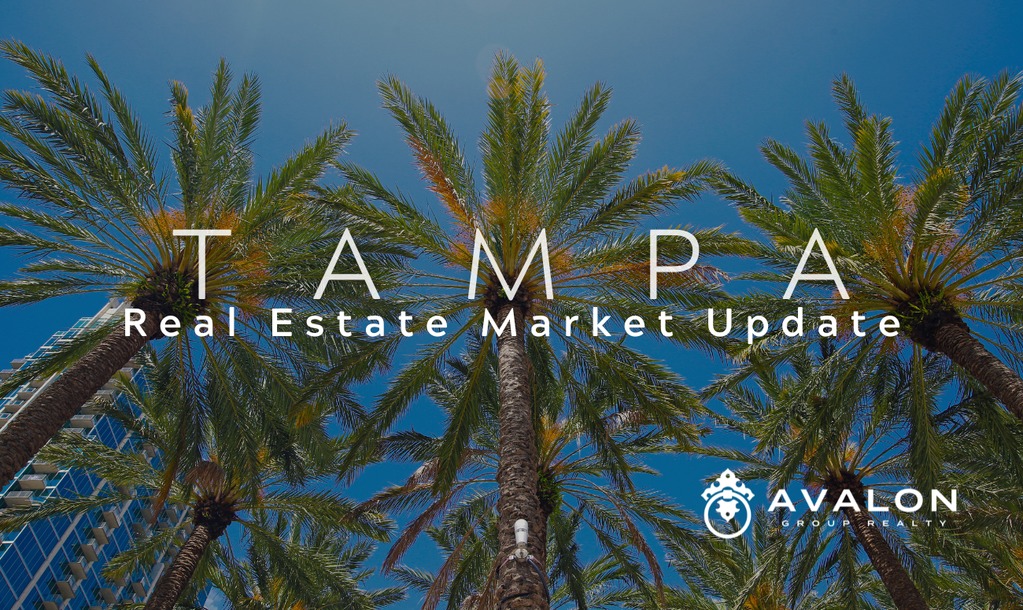 Tampa Real Estate Market Update AVALON Group Real Estate Agents