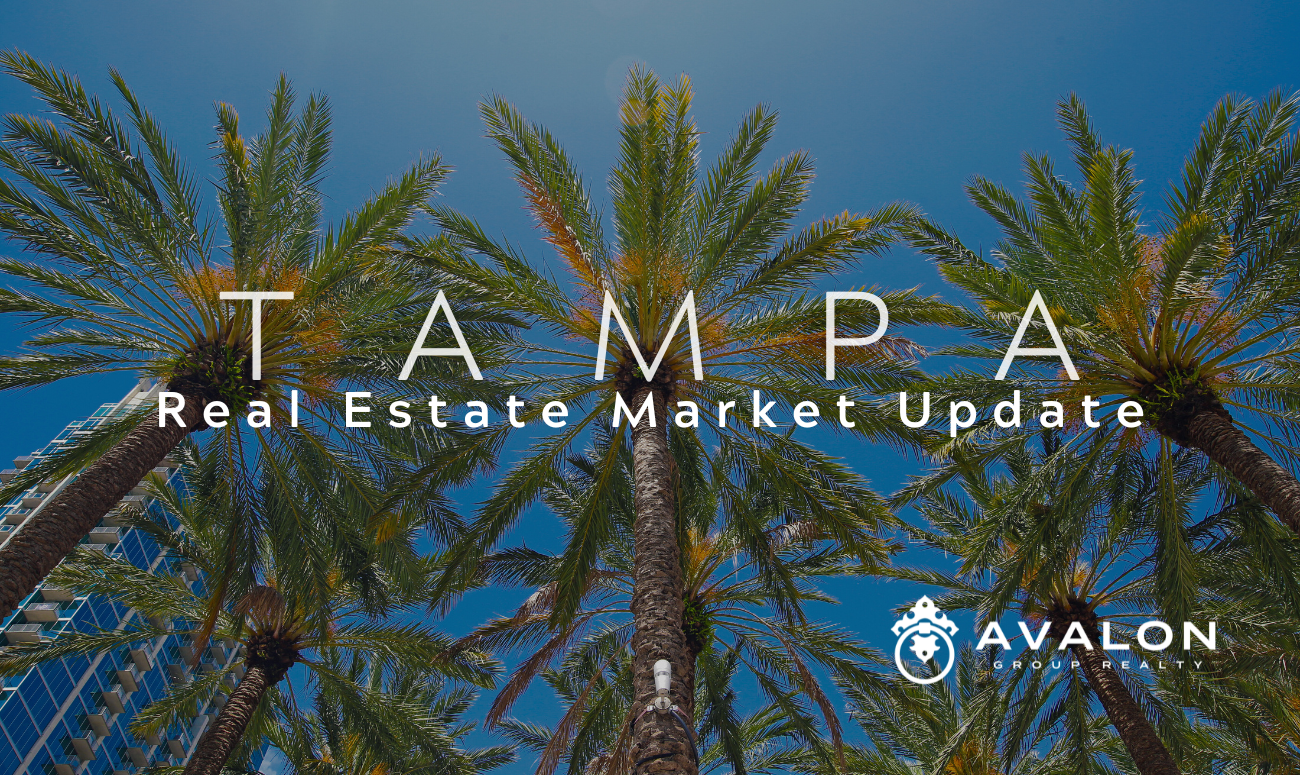Tampa Real Estate Market Update Cover picture shows the tops of palm trees with a blue sky in the background. The title letters are white in color.