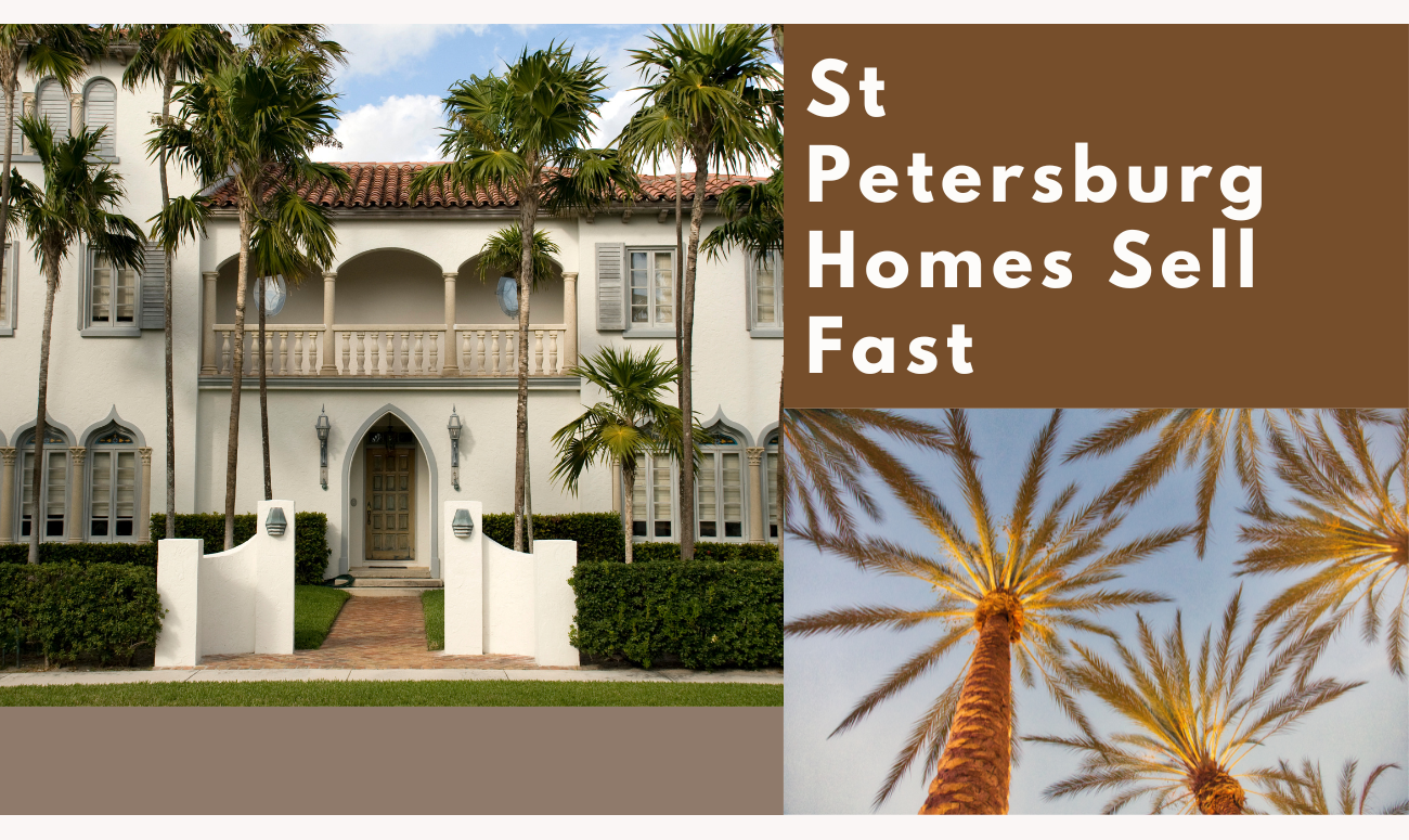 St Petersburg Homes Sell Fast cover picture shows palm tree and a mansion with white letters for the title.