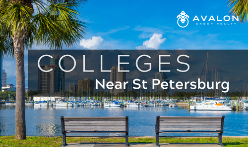 Colleges Near St Petersburg
