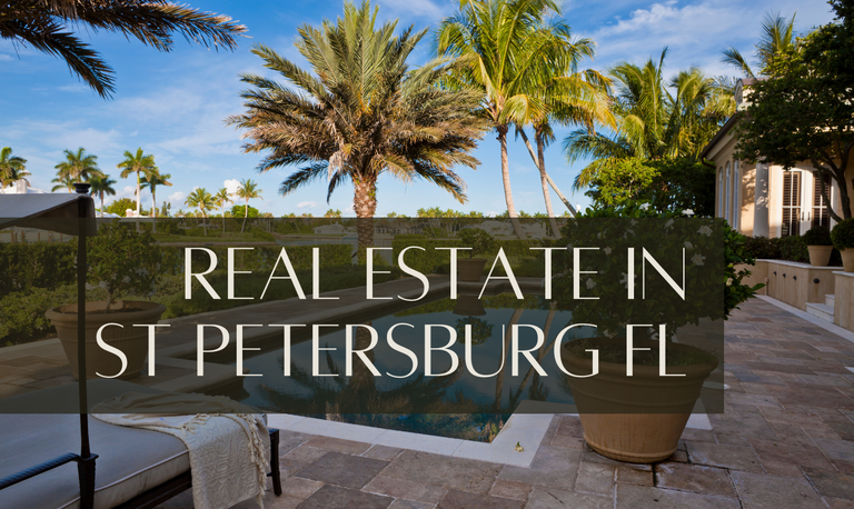 Real Estate in St Petersburg FL - AVALON Group Real Estate Agents