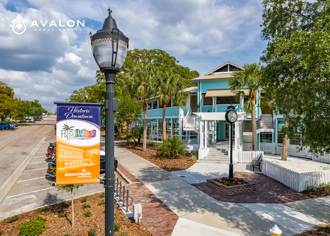 A picture of the beautiful Historic Downtown Palm Harbor.  A blue two story building is shown with a street clock in the foreground.