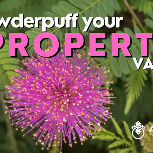 Powderpuff Your Property Value