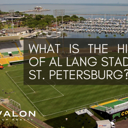 What is the History of Al Lang Stadium in St. Petersburg?