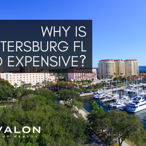 Why is St. Petersburg FL So Expensive?