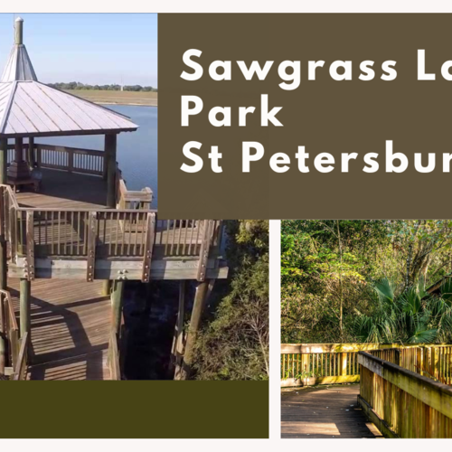 Sawgrass Lake Park St Petersburg