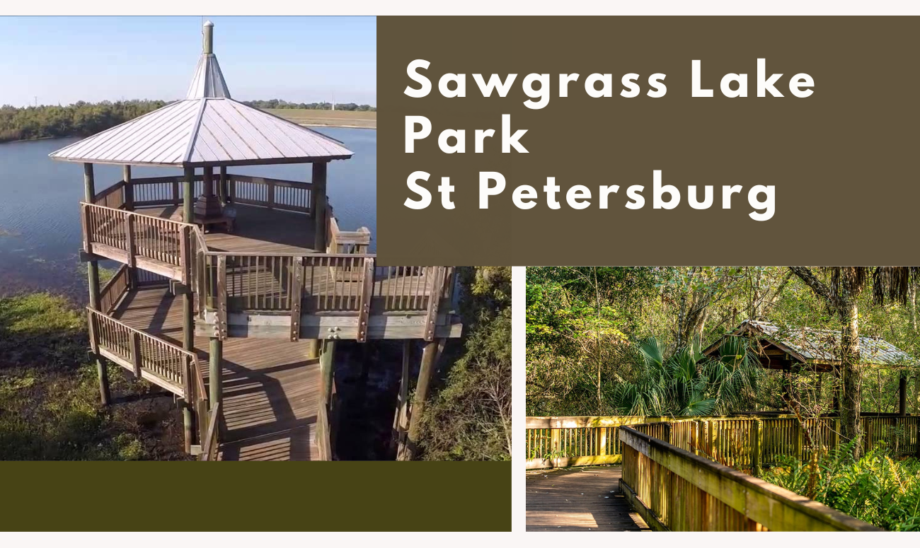 Sawgrass Lake Park St Petersburg picture shows the wood tower in the upper left corner and boardwalk and shed in the bottom nightside corner.