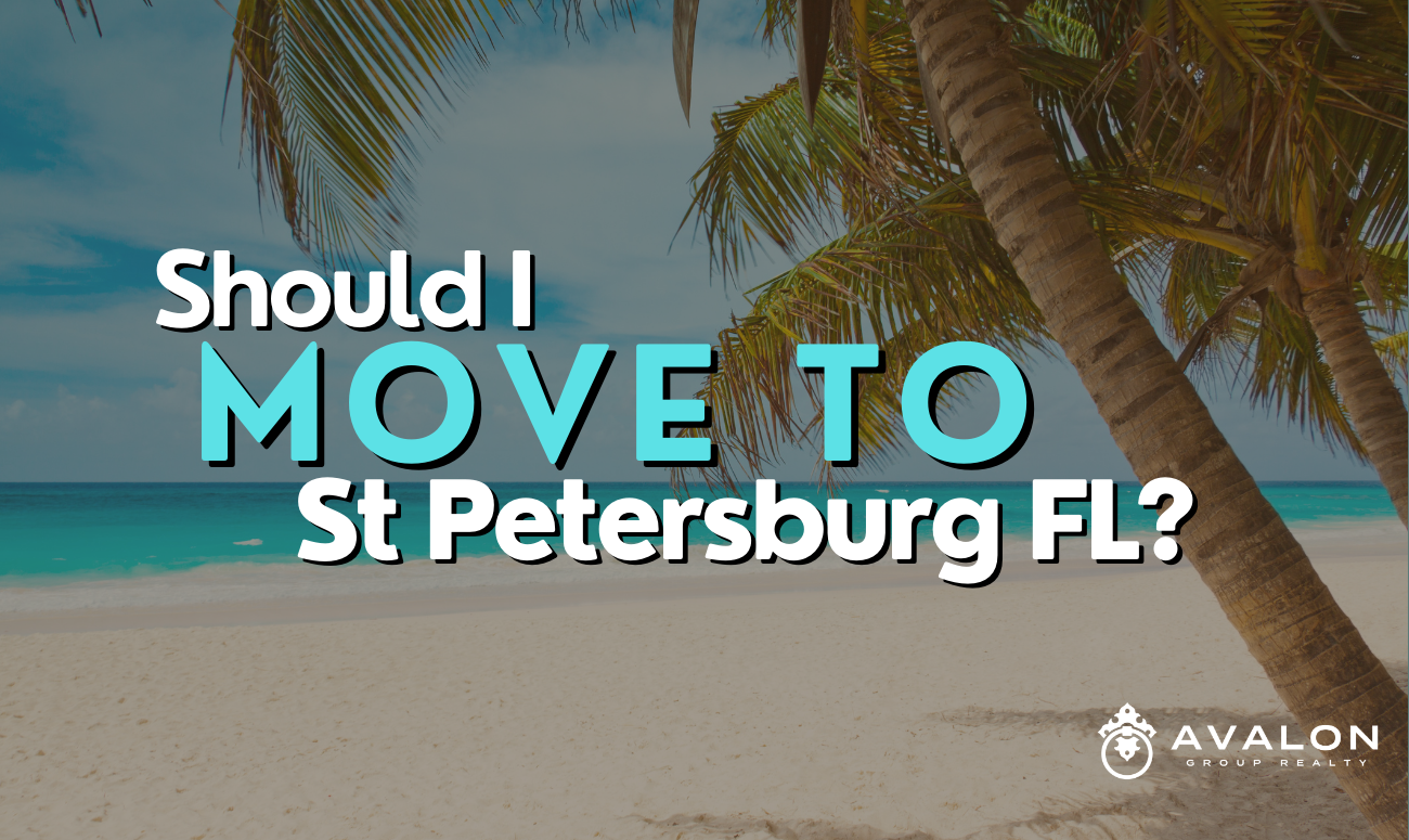 Should I Move to St Petersburg FL cover picture shows a beach picture with palm trees to the right and the ocean in the background.