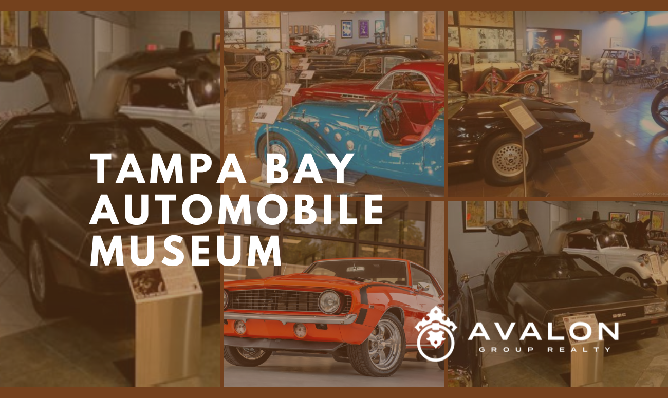 Tampa Bay Automobile Museum picture shows a Delores car and several other classic cars.