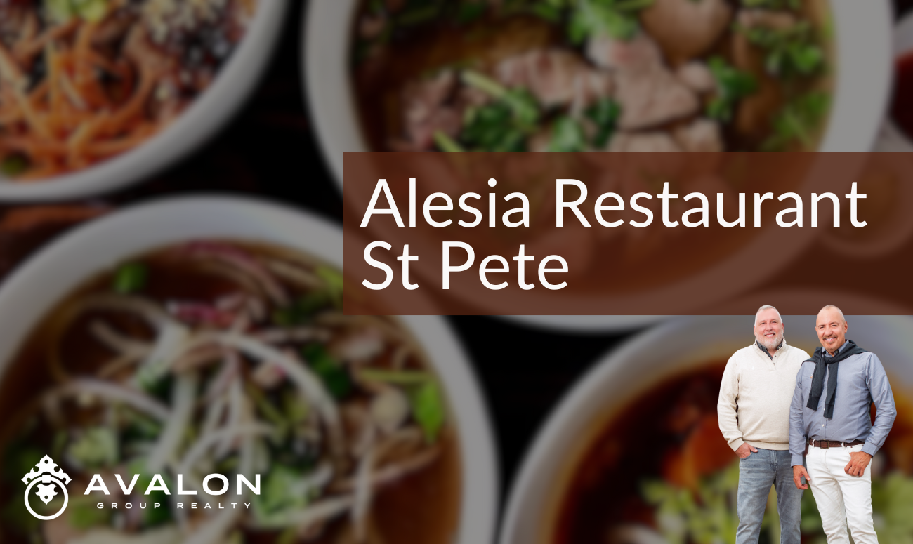 Alesia Restaurant St Pete picture shows Pho dishes on a black background.