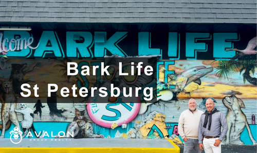 Bark Life St. Petersburg