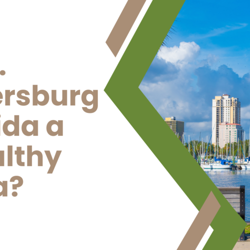 Is St. Petersburg Florida a Wealthy Area?