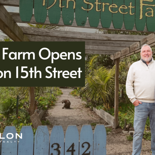 Urban Farm Opens on 15th Street