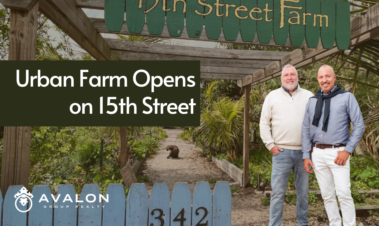 Urban Farm Opens on 15th Street picture shows the blue picket fence and the Farm sign at the top.