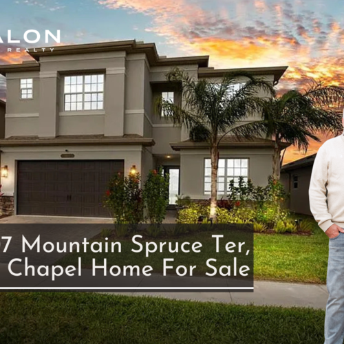 3107 Mountain Spruce Ter, Wesley Chapel Home For Sale