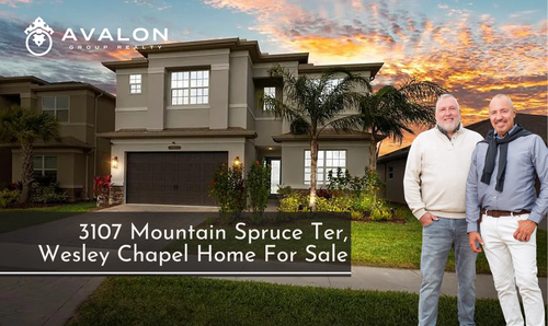 3107 Mountain Spruce Ter, Wesley Chapel Home &hellip;