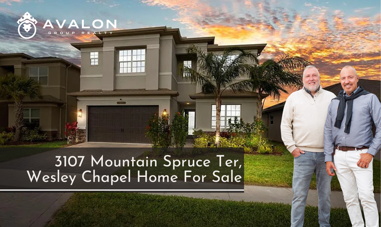 3107 Mountain Spruce Ter, Wesley Chapel Home For Sale-12