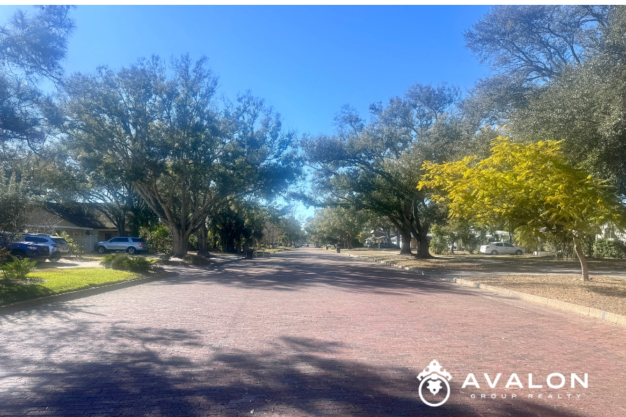 Tree-lined brick street in the Eagle Crest neighborhood of St. Petersburg, Florida, known for quiet streets and a safe residential feel.