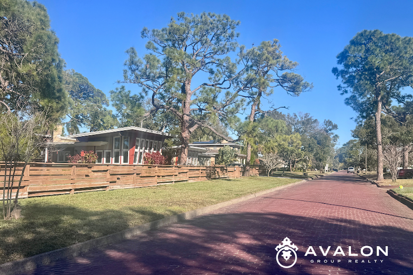 Brick street lined with mid-century homes and mature pine trees in the Eagle Crest neighborhood of St. Petersburg Florida