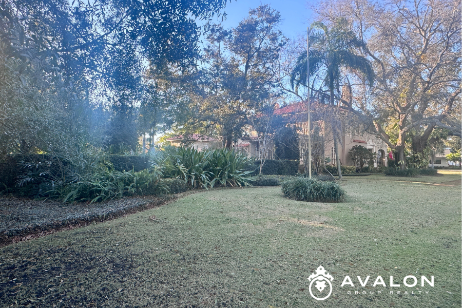 Lush green space and mature landscaping in the Jungle Prada neighborhood of St. Petersburg FL, showcasing large lots, privacy, and a peaceful residential atmosphere.