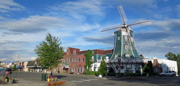 cropwindmill3blog