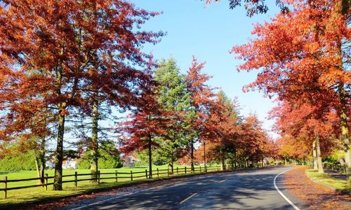 How Local Economic Trends Shape the Whatcom County &hellip;