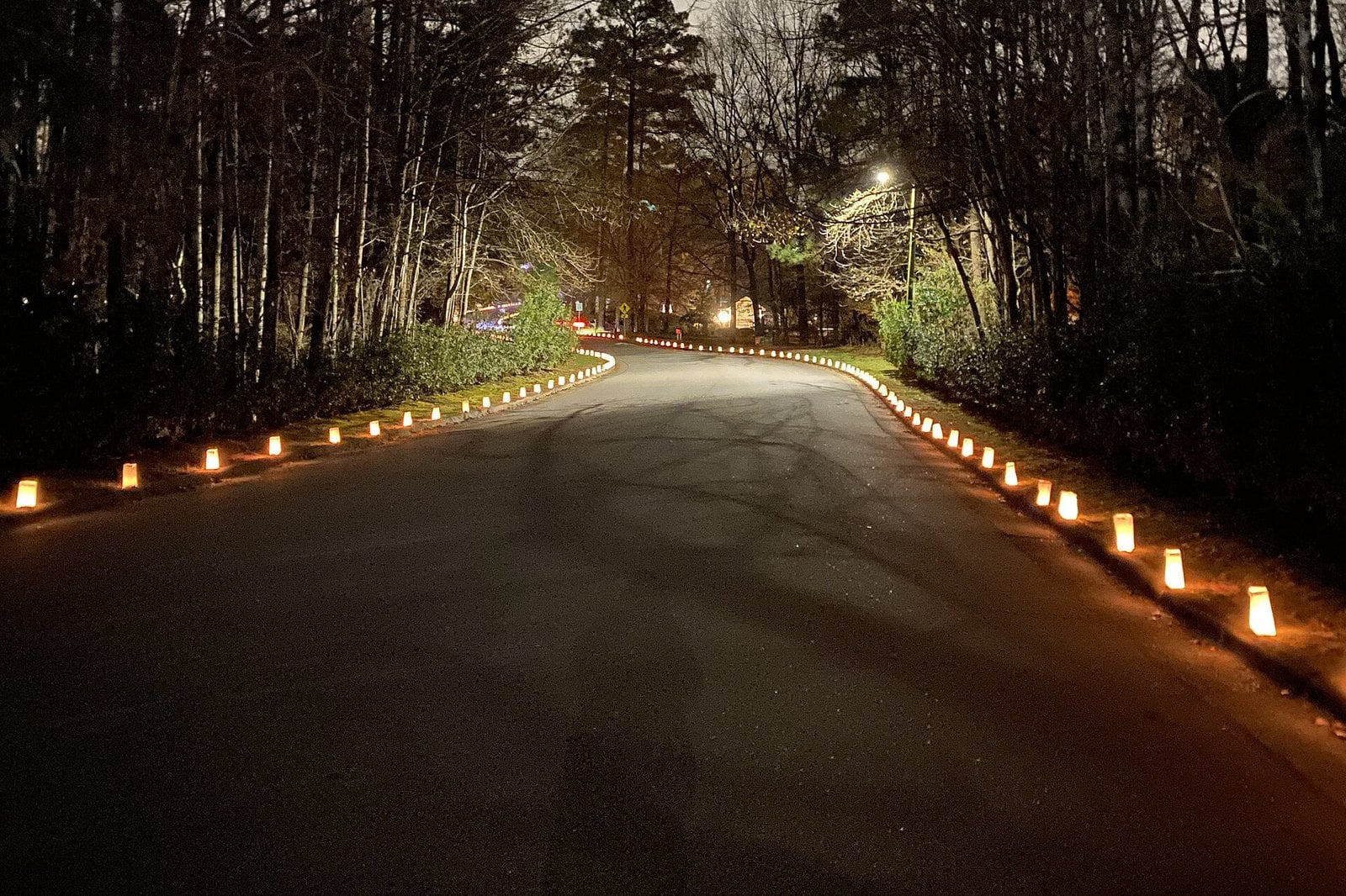 Paper luminaries glowing along both sides of a curving path at night, lined with bare trees