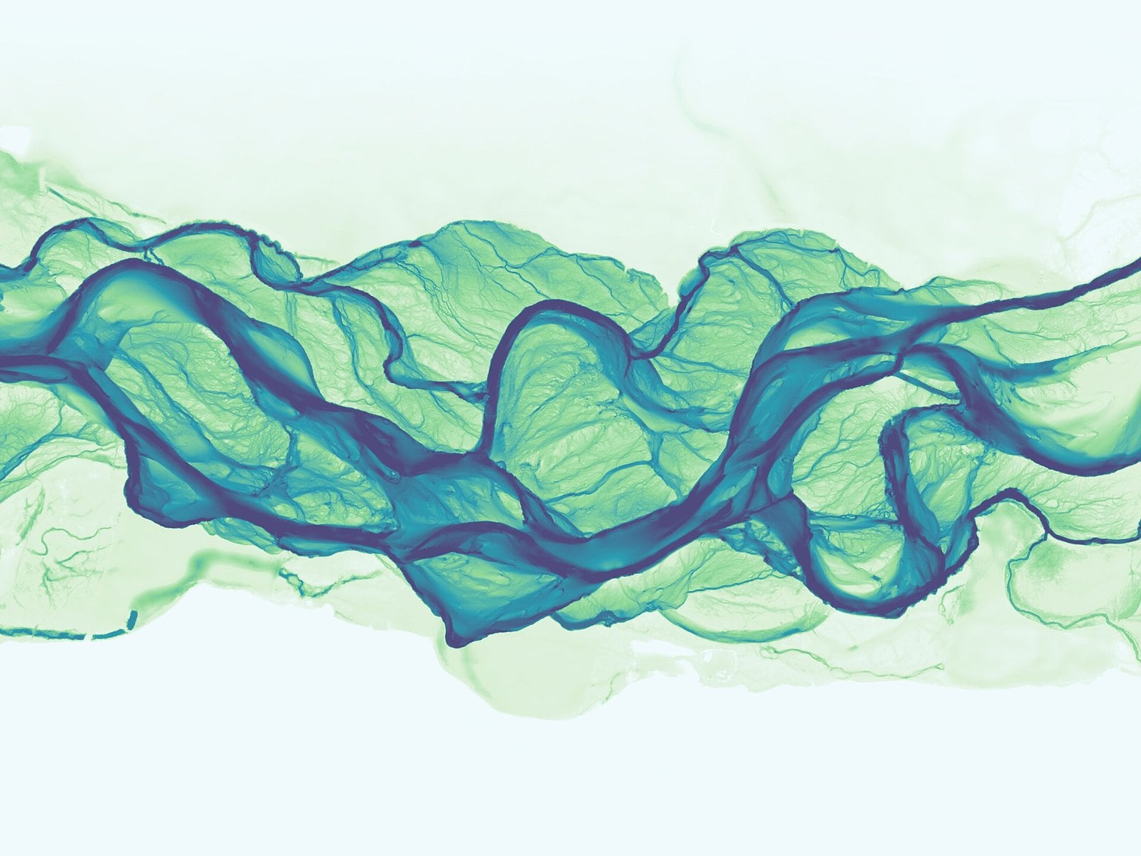 Blue and green lidar elevation image showing the Nooksack River's braided channels and floodplain south of the Everson bridge