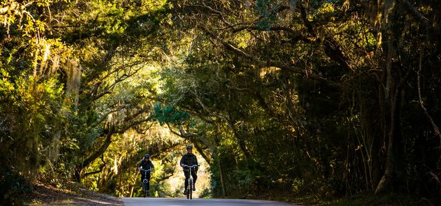 2016 Amelia Visitor Guide Shoot 019A-large