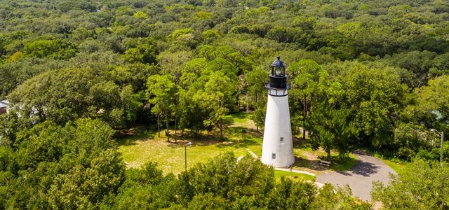 2020 Amelia Stock Shoot 248A &#8211; Deremer Studios LLC-large