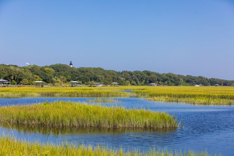 AREA 2 - EGAN'S CREEK