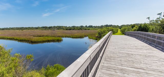 2020 Amelia Stock Shoot 447A &#8211; Deremer Studios LLC-large