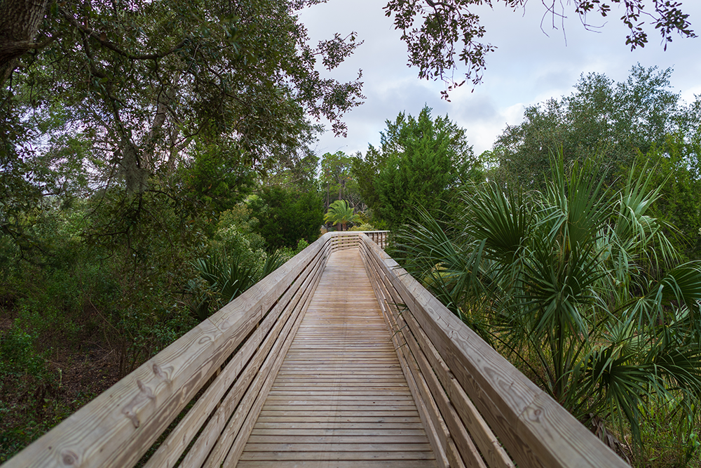 Hiking in Amelia Island and Fernandina Beach