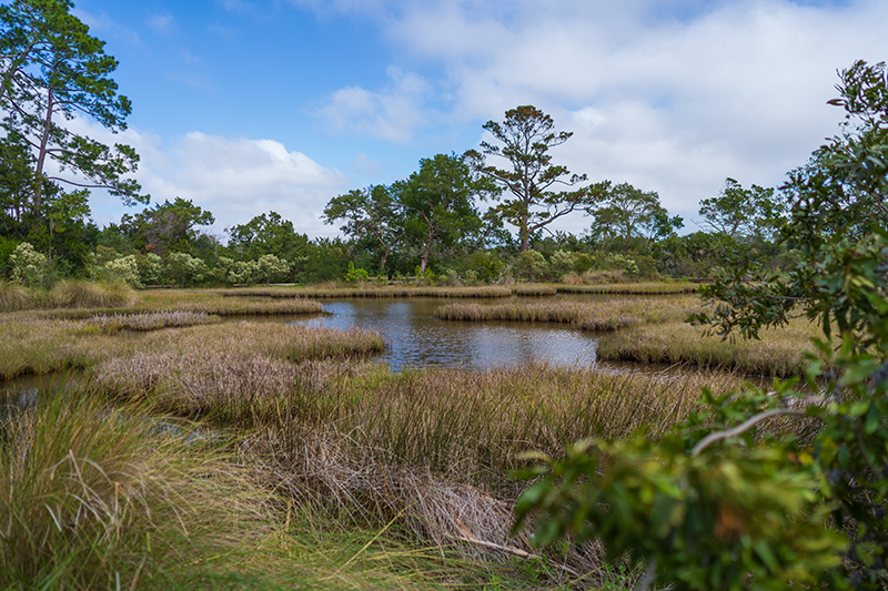 Kayaking in Amelia Island and Fernandina Beach