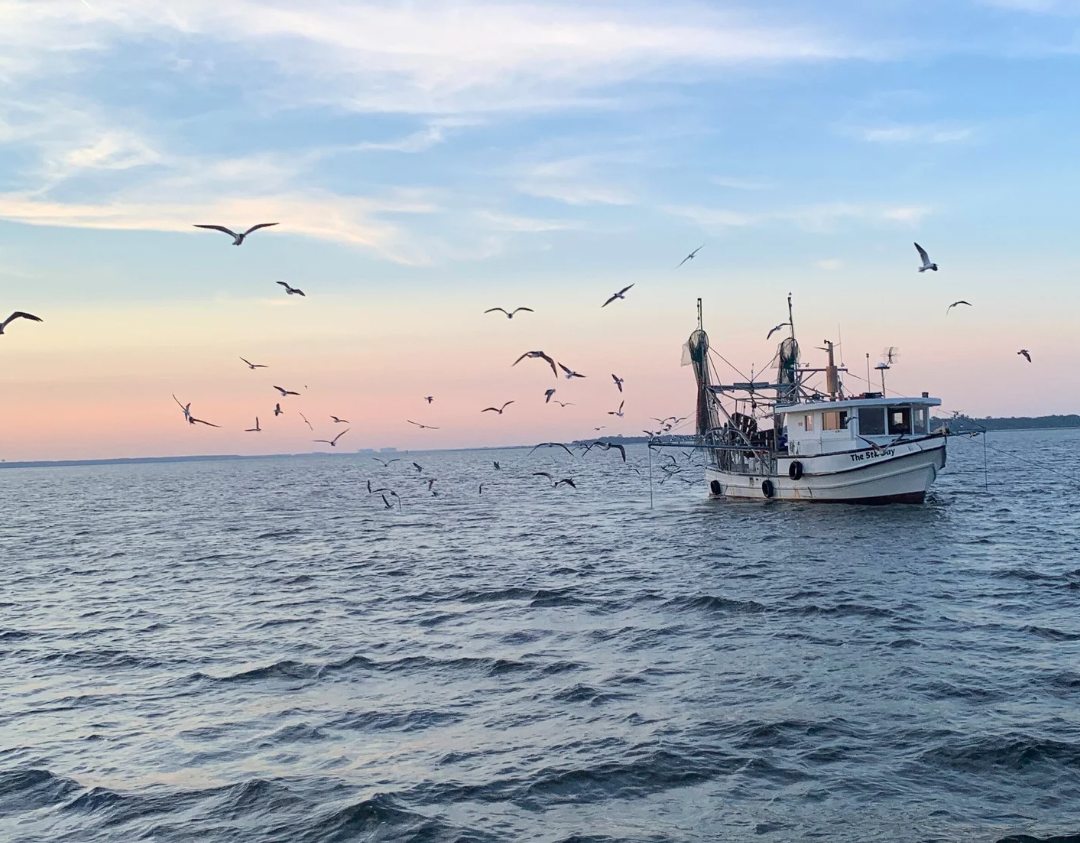 Isle of eight flags shrimp festival fernandina beach