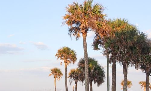 Moving to Amelia Island: A Newcomer’s First 30 Days
